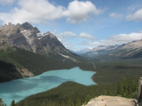 Turquoise Peyto Lake